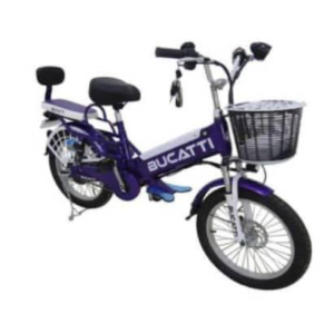 Bicicleta Eléctrica 48V 22.5AH 1000W Bryderk
