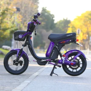 Bicimoto Halcon 2025