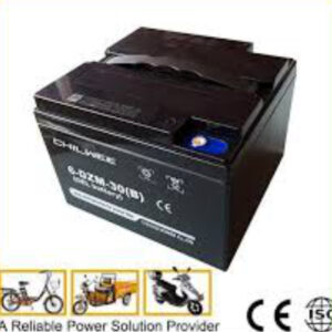 Batería 12V 30Ah (Triciclo)